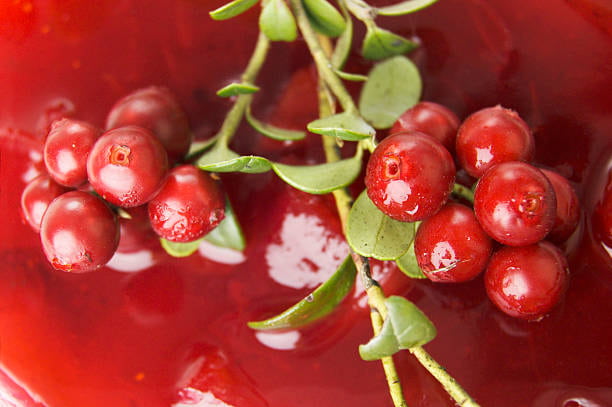 تصویر 2 از قیمت مربا زرشک خشک با کیفیت ارزان + خرید عمده